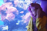 光与夜之恋进化之华获取方法 活动与抽卡技巧